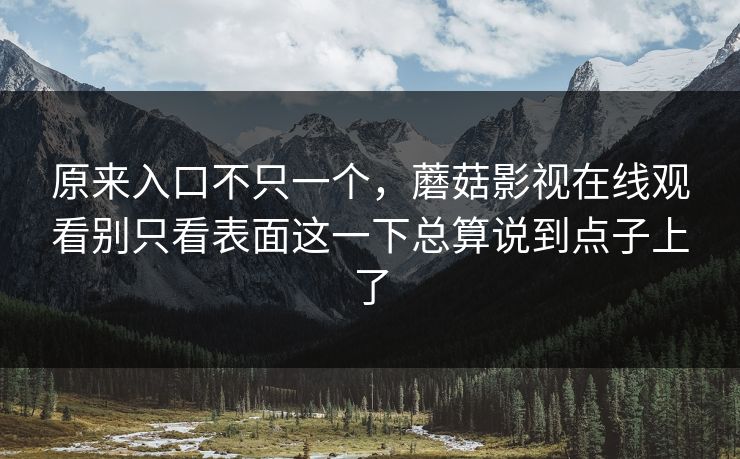 原来入口不只一个，蘑菇影视在线观看别只看表面这一下总算说到点子上了