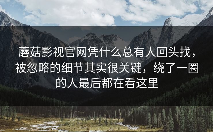 蘑菇影视官网凭什么总有人回头找，被忽略的细节其实很关键，绕了一圈的人最后都在看这里