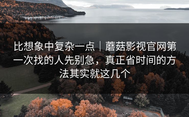 比想象中复杂一点｜蘑菇影视官网第一次找的人先别急，真正省时间的方法其实就这几个