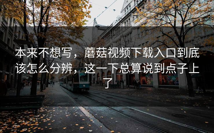 本来不想写，蘑菇视频下载入口到底该怎么分辨，这一下总算说到点子上了