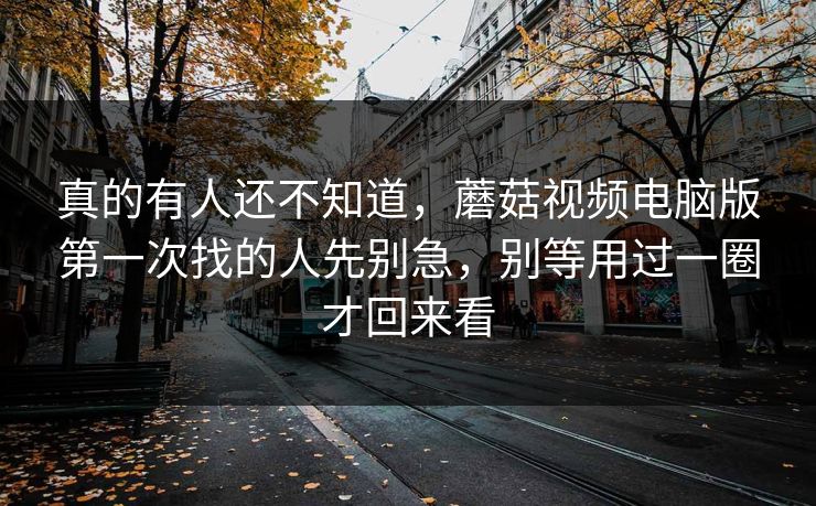 真的有人还不知道，蘑菇视频电脑版第一次找的人先别急，别等用过一圈才回来看