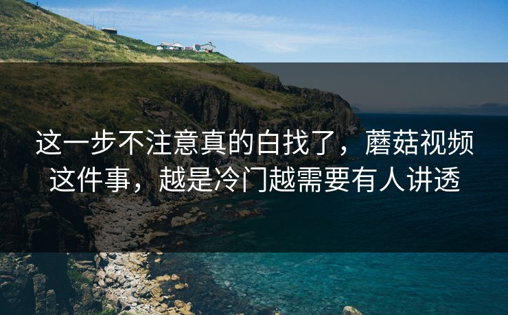 这一步不注意真的白找了，蘑菇视频这件事，越是冷门越需要有人讲透